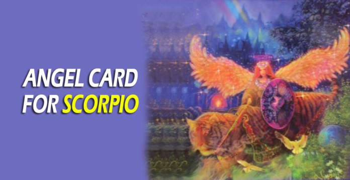 angel card for scorpio